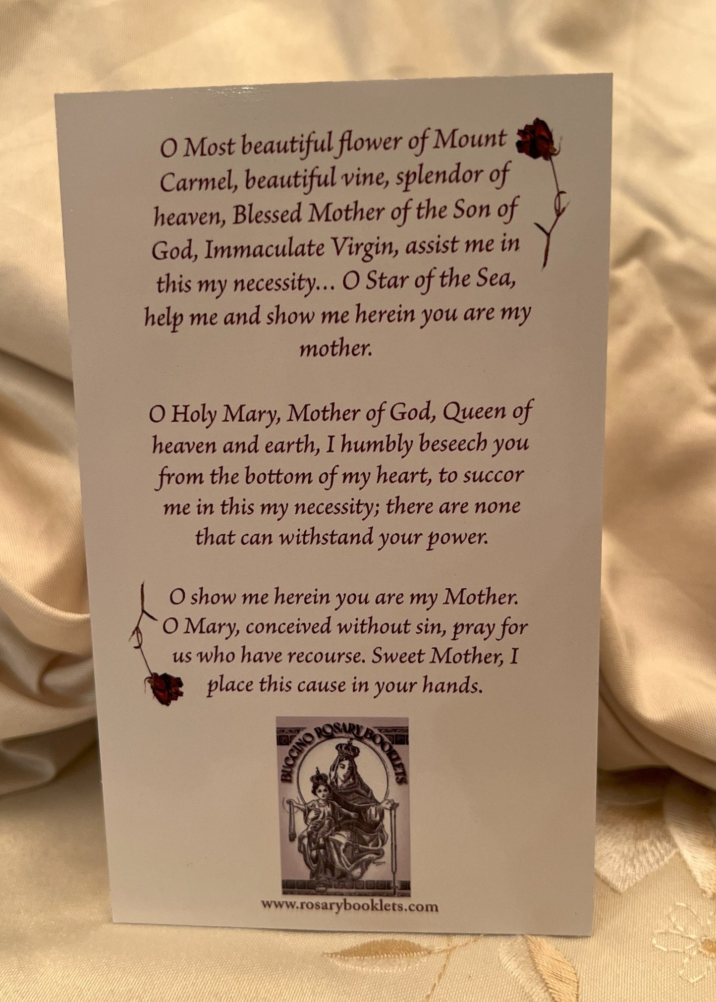 Our Lady of Mount Carmel Prayer Card